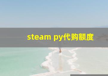 steam py代购额度